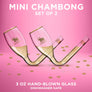 Chambong - Mini Party Champagne Flutes, Gift for Stocking Stuffers, Secret Santa, Birthday Gifts for Her, Mom Christmas Gifts, Fun Bachelorette Gift (2 Pcs, 3oz Glass with Gift Box)