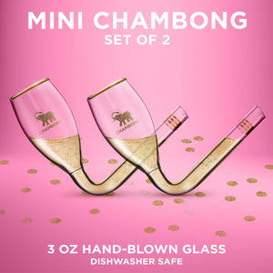 Chambong - Mini Party Champagne Flutes, Gift for Stocking Stuffers, Secret Santa, Birthday Gifts for Her, Mom Christmas Gifts, Fun Bachelorette Gift (2 Pcs, 3oz Glass with Gift Box)