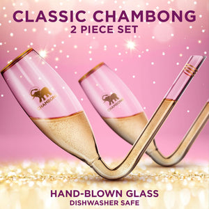 Chambong - Champagne Flutes, Womens Gifts for Christmas, Stocking Stuffers for Adults, White Elephant Gift for Adults, Holiday Gifts for Women Who Have Everything (2 Pcs, 6oz Glass with Gift Box)